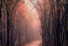 保羅:我不知道能不能再打球了 所以我努力享受每個失利的瞬間.