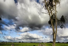 意大利杯1/4決賽國際米蘭2-1AC米蘭 伊布進球+染紅埃裏克森絕殺.