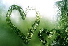 极速体育:曝國足40強賽剩余賽程或將提前開打 足協正與亞足聯協商.