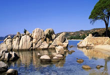 冬窗英超各隊表現評級:槍手紅魔熱刺優秀、切爾西待定、曼城紅軍不如意.